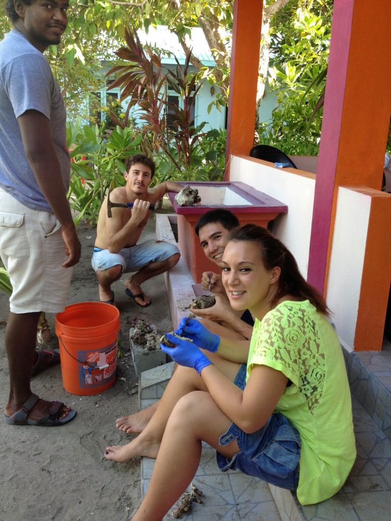 students looking for animals in dead coral