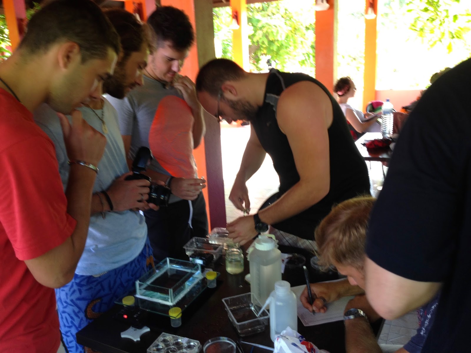 students processing specimens