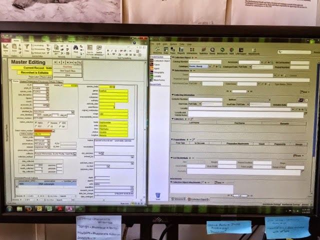 photo of computer screen with Access on the left side and Specify on the right