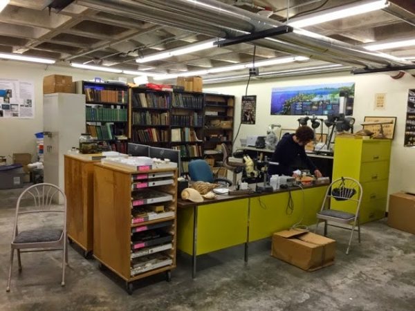 desks and shelves