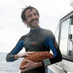 man in wetsuit on boat cradling a large red sea cucumber