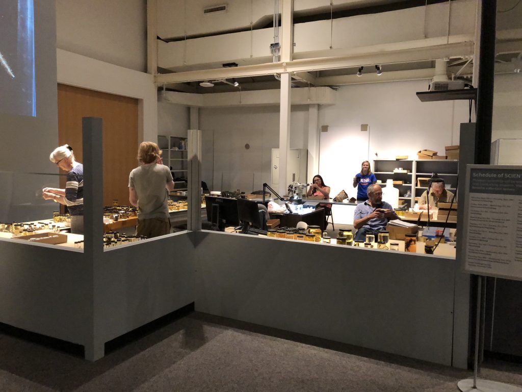 group of iz-sters working diligently on display in powell hall