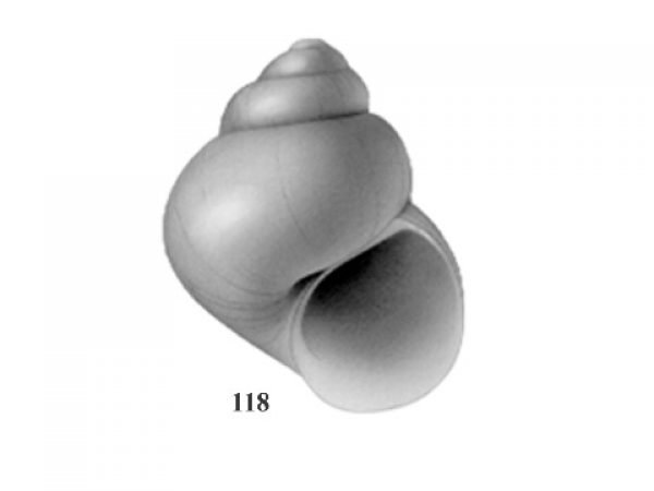Fig. 118