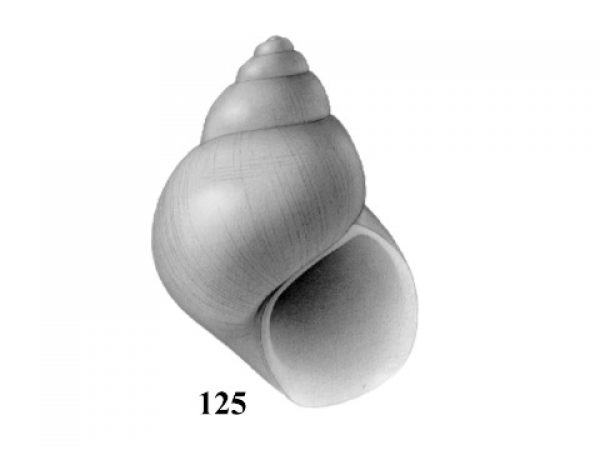 Fig. 125