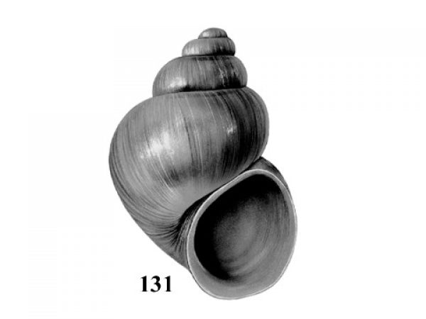 Fig. 131