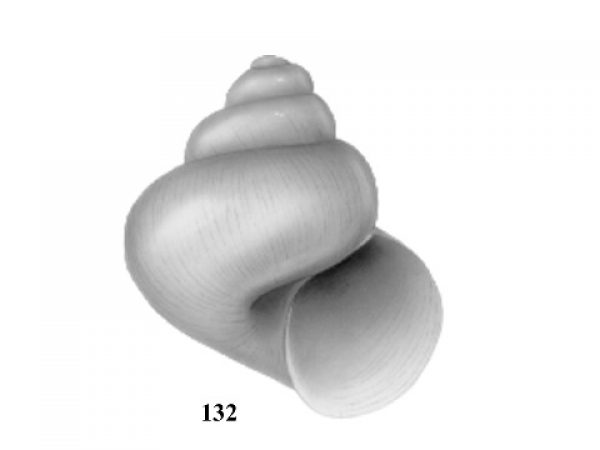 Fig. 132