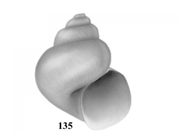 Fig. 135
