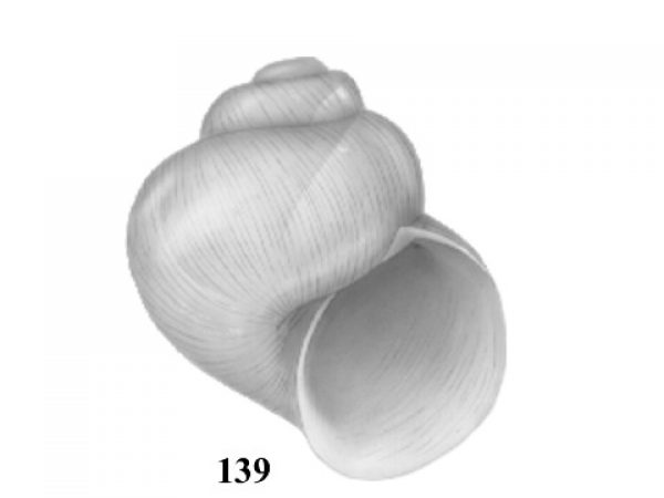 Fig. 139