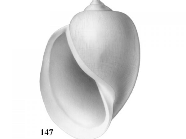 Fig. 147