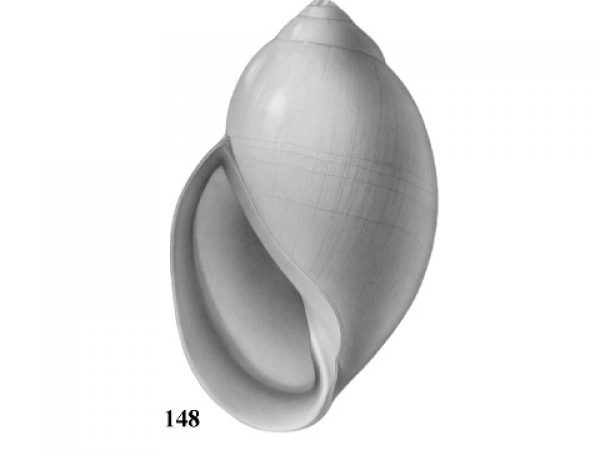 Fig. 148