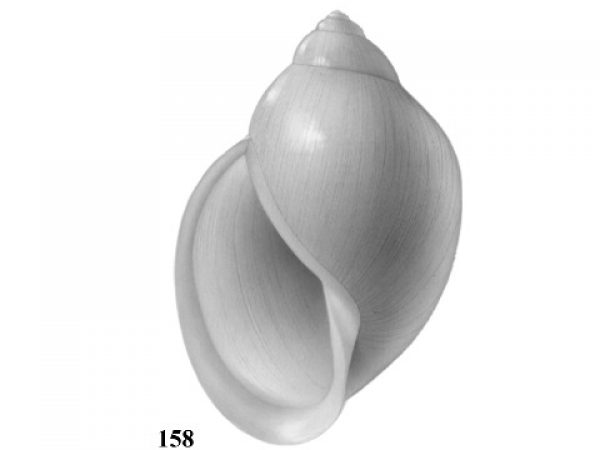 Fig. 158