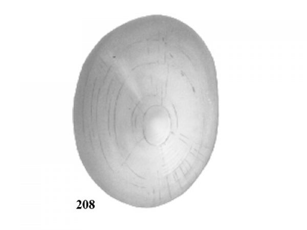 Fig. 208