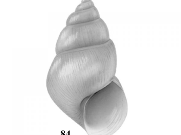 Fig. 84