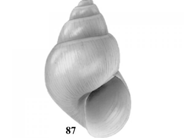 Fig. 87