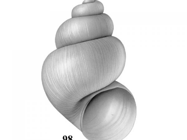 Fig. 98