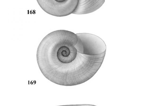 Figs. 168, 169 & 170