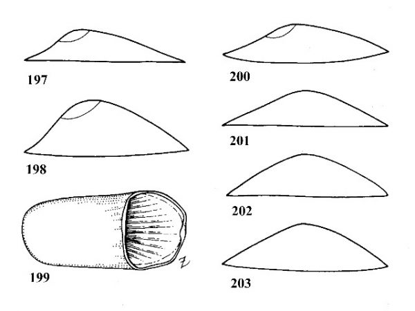 Figs. 197, 198, 199, 200, 201, 202 & 203