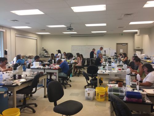 view of the busy and crowded lab