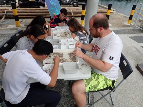 sorting animals into small containers