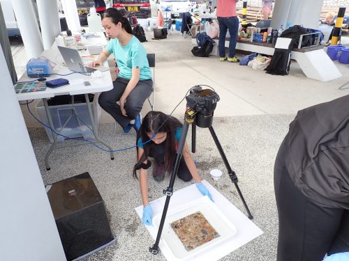 ARMS plate photo station