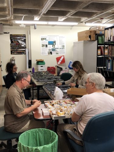 group of people processing specimens