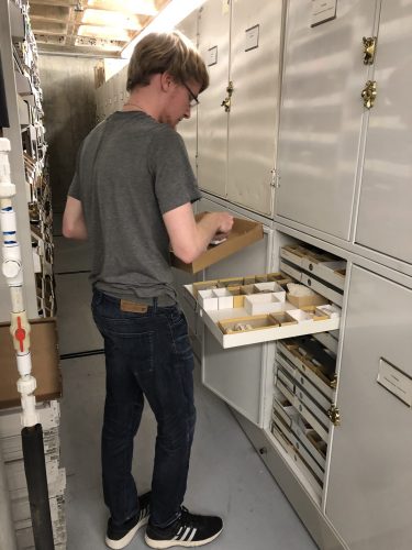 Josh shelving dry specimens