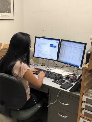 Erika entering data into a spreadsheet