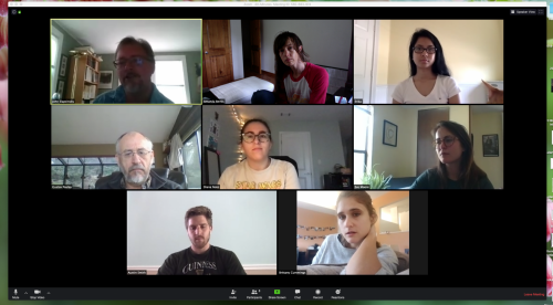 What our lab meetings look like using Zoom