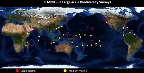 global map showing where large and medium marine surveys have been conducted.