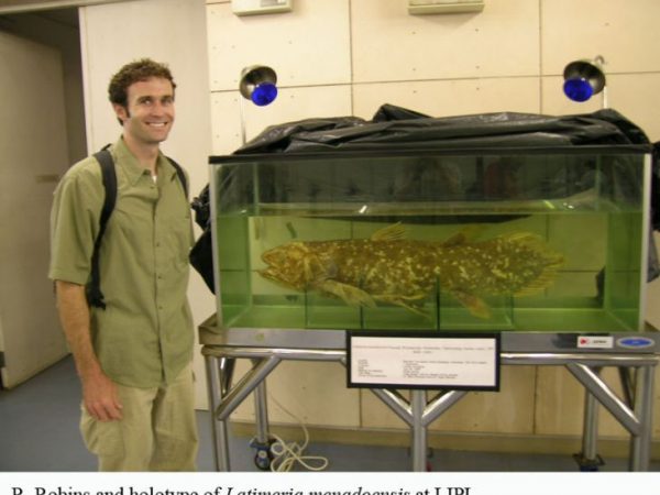 Robins with species holotype