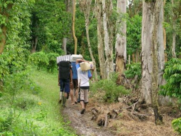 walking on the trail