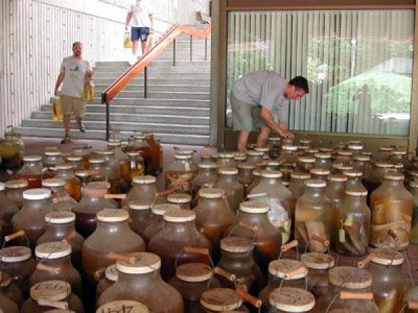 collection jugs in Dickinson Hall breezway