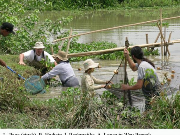 Larry page and others using nets