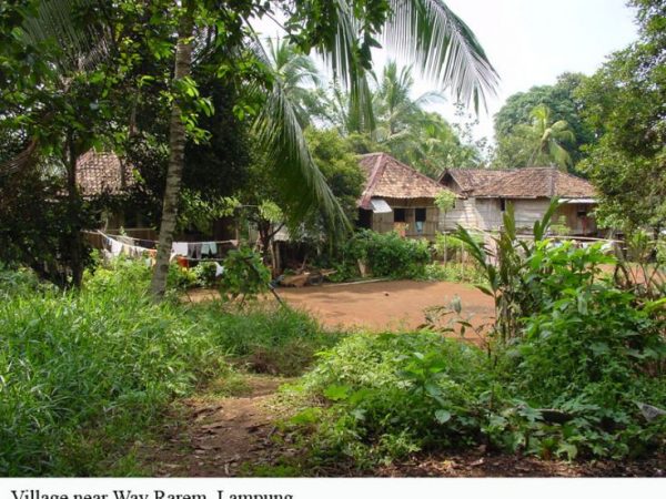 village near collection site