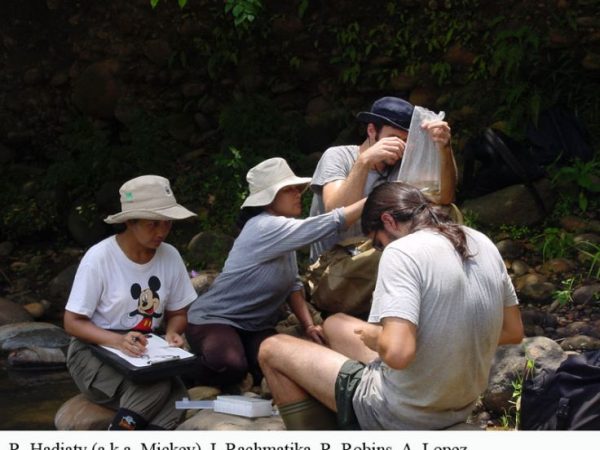 team looking at bagged specimens