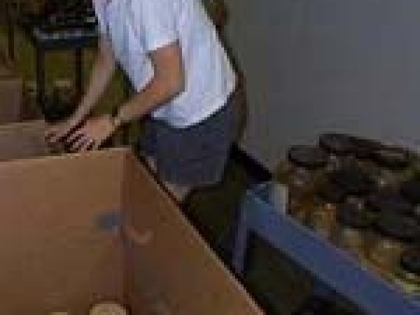 employee going through collection n