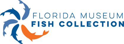 Fish Collection Logo