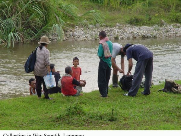 collecting along river bank