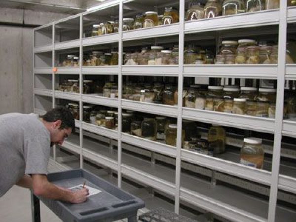 One aisle of the collection