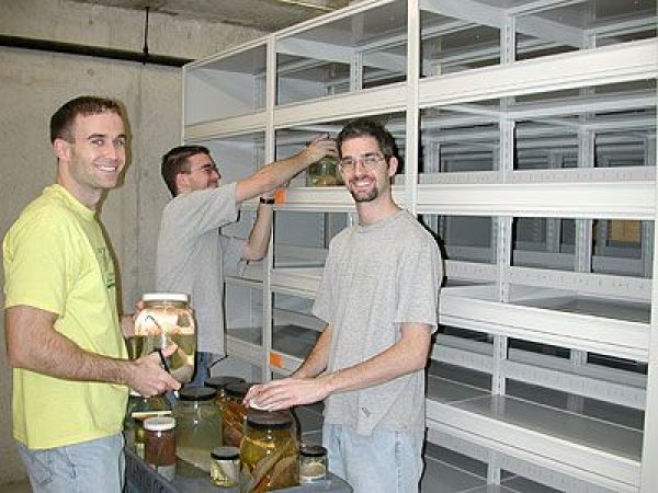 employees moving jars to empty shelves