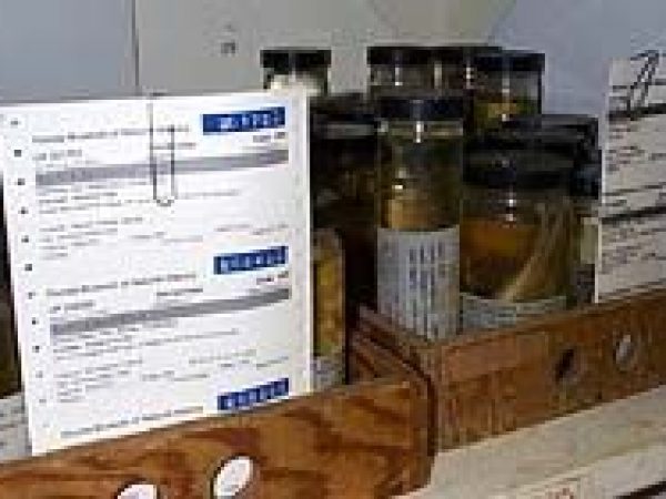 more collection jars