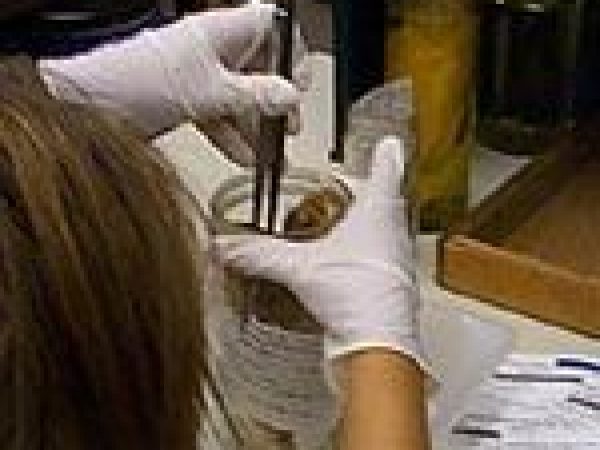 woman removing specimen from jar