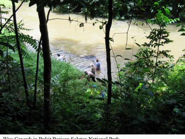 distant shot of people walking through river