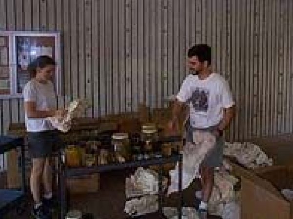 people with cart of collection items