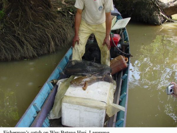 Fisherman with his catch