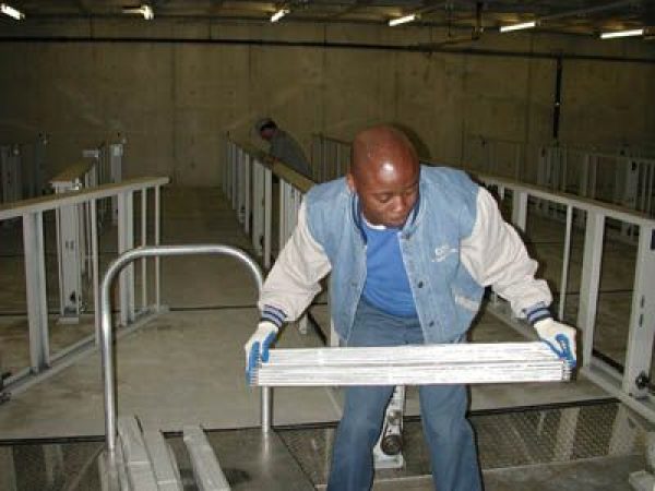 man setting up collection shelves
