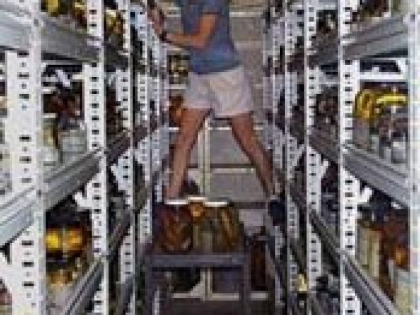 woman standing on the shelves in an aisle of the collection