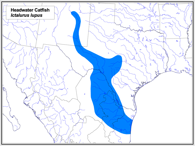 Headwater Catfish map