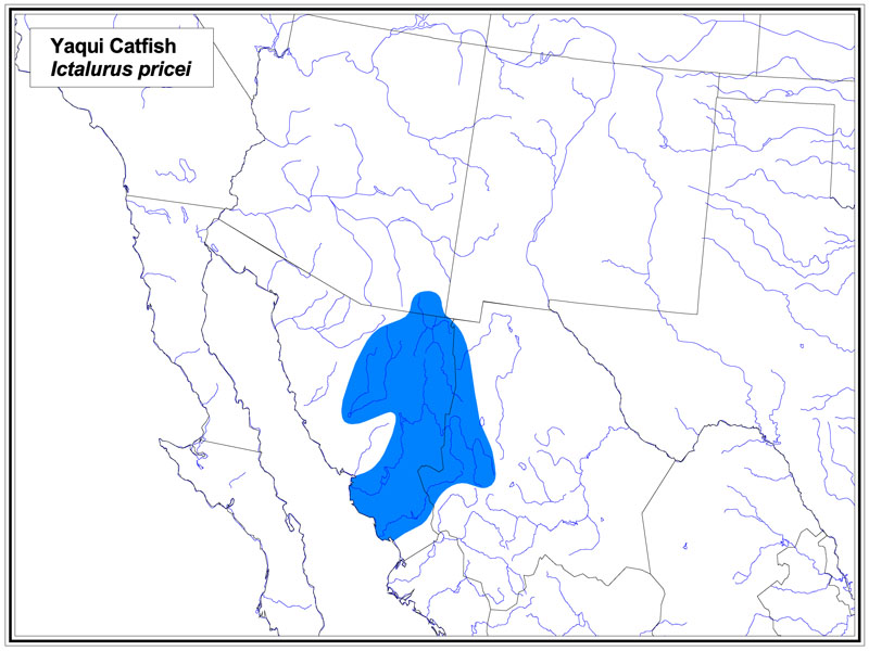 Yaqui Catfish map