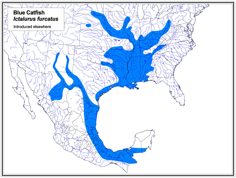 Blue Catfish map